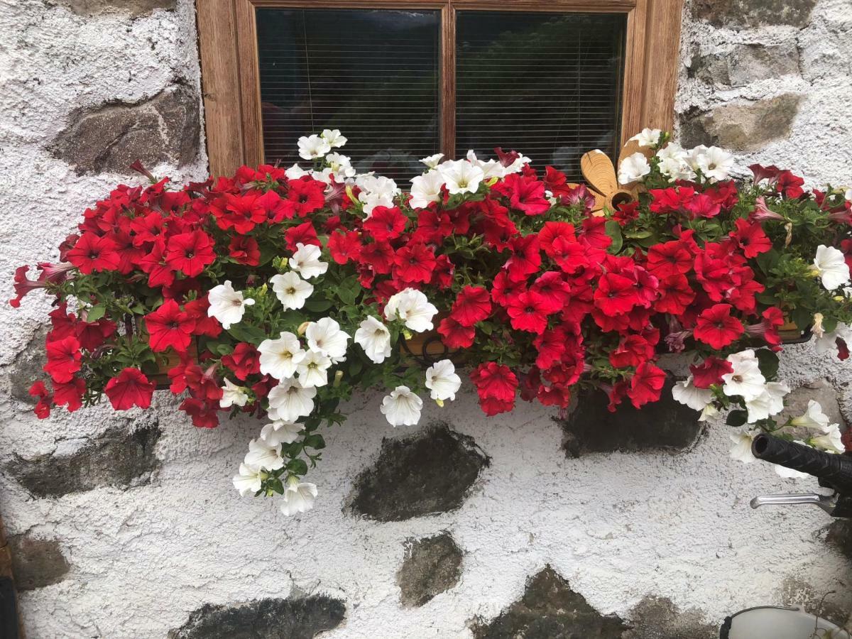 Cesa Mia Daire Campitello di Fassa Dış mekan fotoğraf